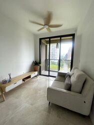 Irwell Hill Residences (D9), Apartment #453387471